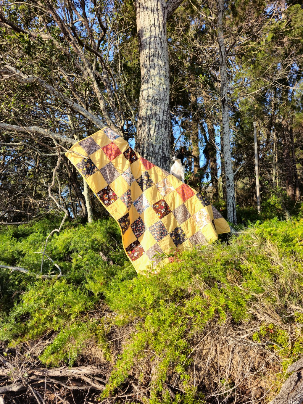 Fall-Themed Quilting